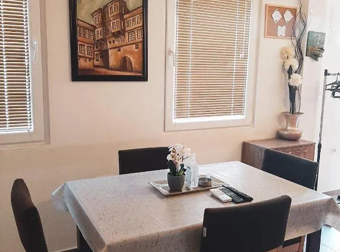 Ds Center Apartment
