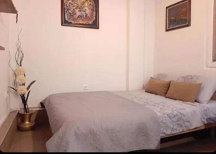 Ds Center Apartment